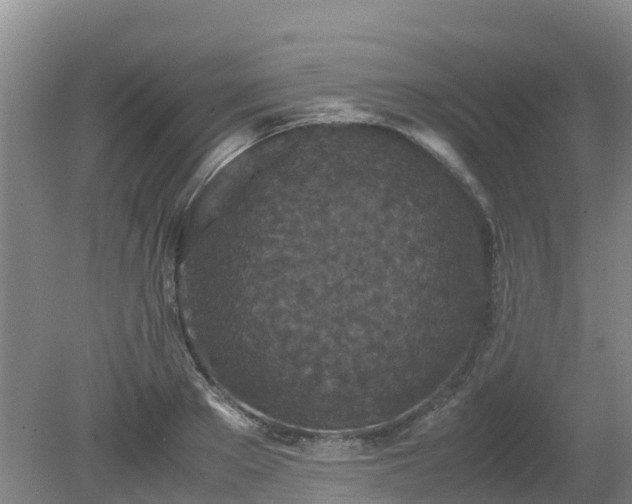 X0000080190889200612152011