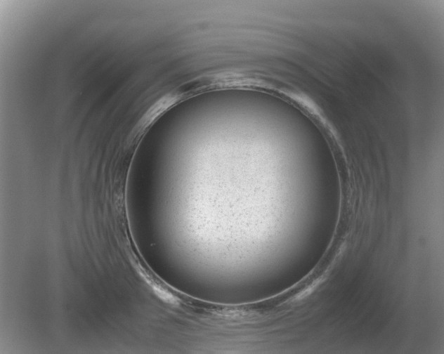 X0000080190897200612152011