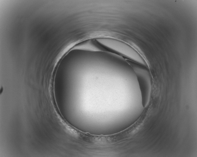 X0000080190901200612152011