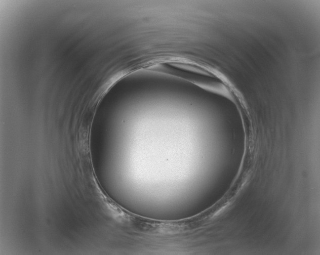 X0000080190905200612152011