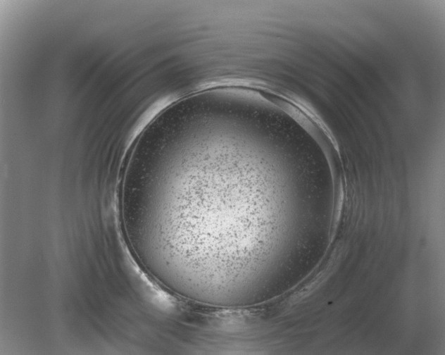 X0000080190906200612152011