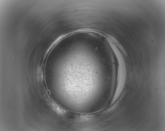 X0000080190908200612152011