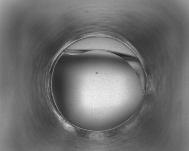 X0000080190909200612152011