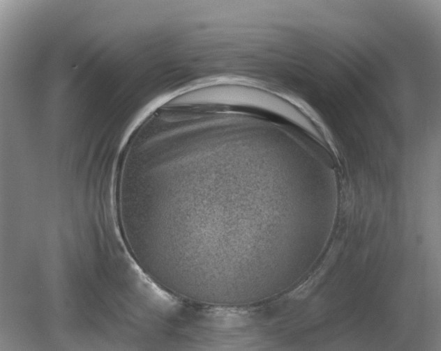 X0000080190910200612152011