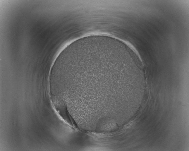 X0000080190911200612152011