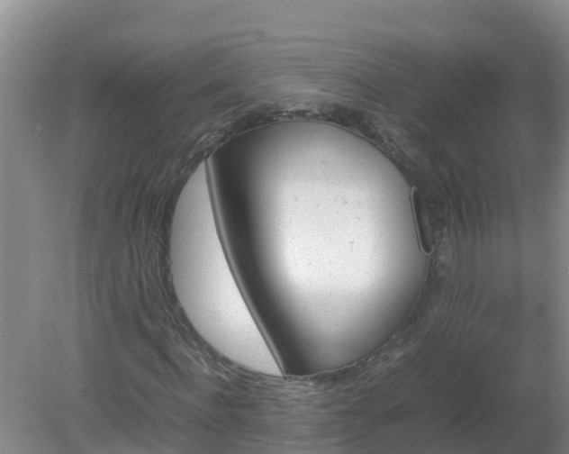 X0000080190916200612152010