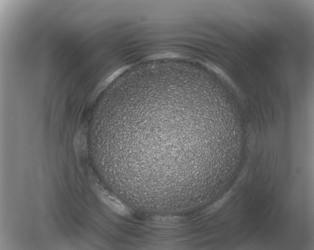 X0000080190921200612152010