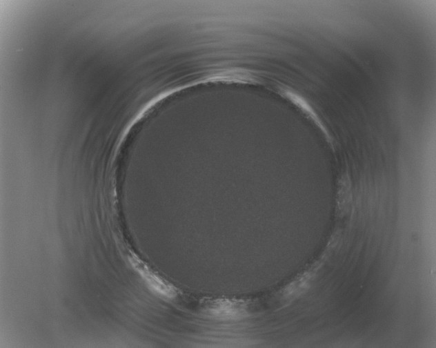 X0000080190923200612152010
