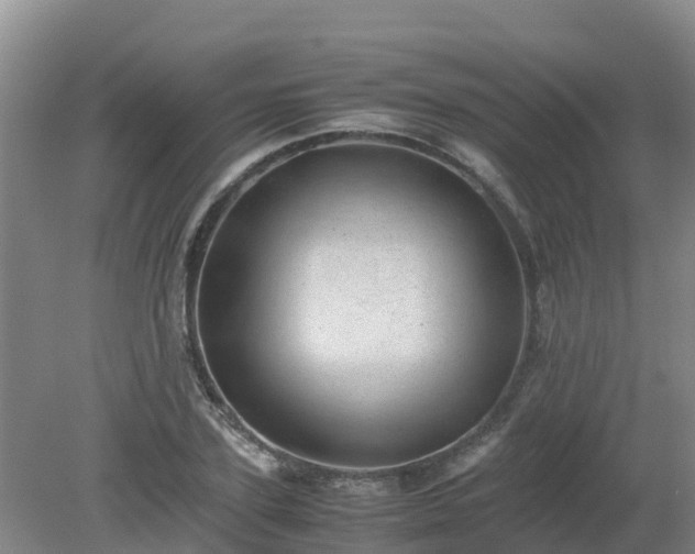 X0000080190931200612152010