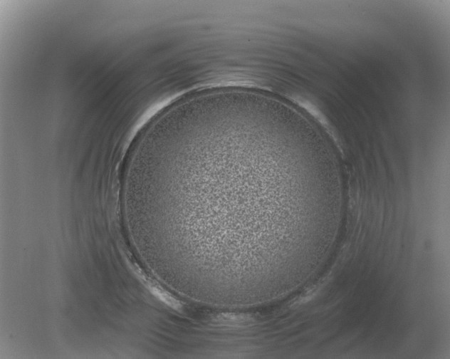 X0000080190933200612152010