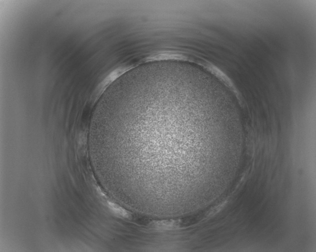 X0000080190937200612152010