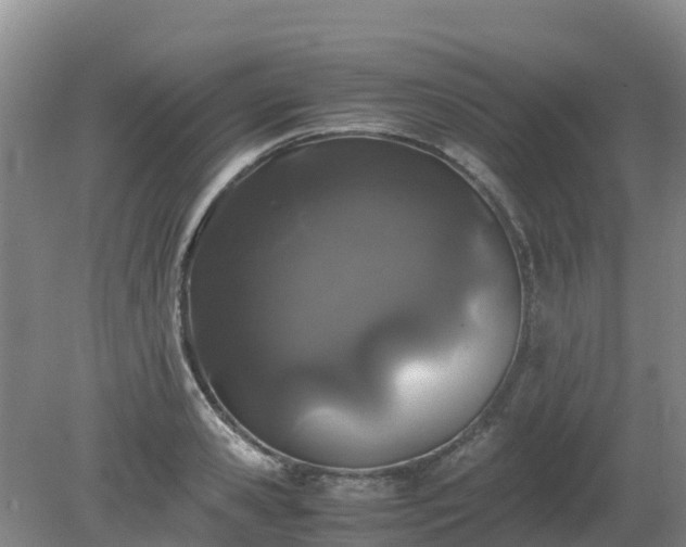 X0000080190941200612152010