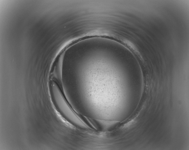 X0000080190942200612152010