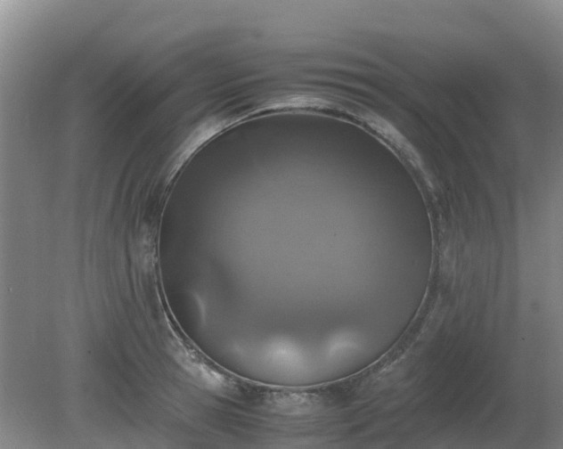 X0000080190945200612152010
