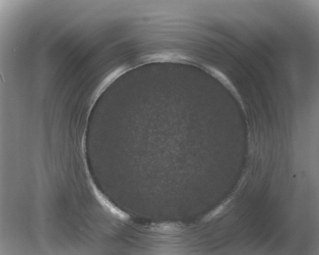 X0000080190946200612152010