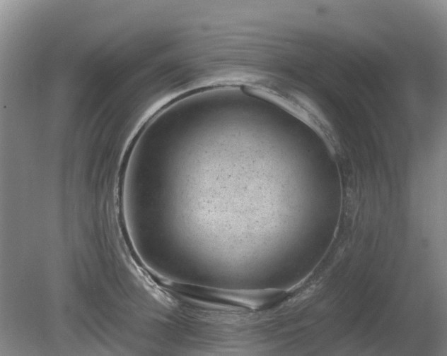 X0000080190948200612152011