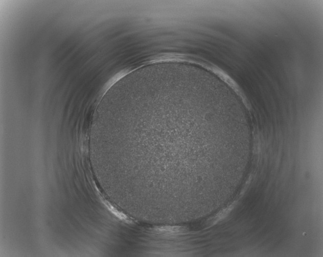 X0000080190953200612152011