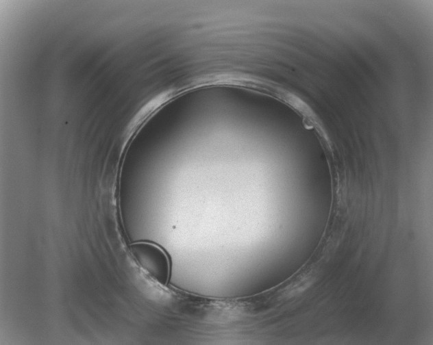 X0000080190954200612152011