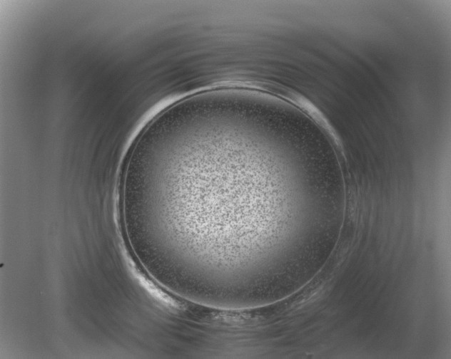 X0000080190955200612152011