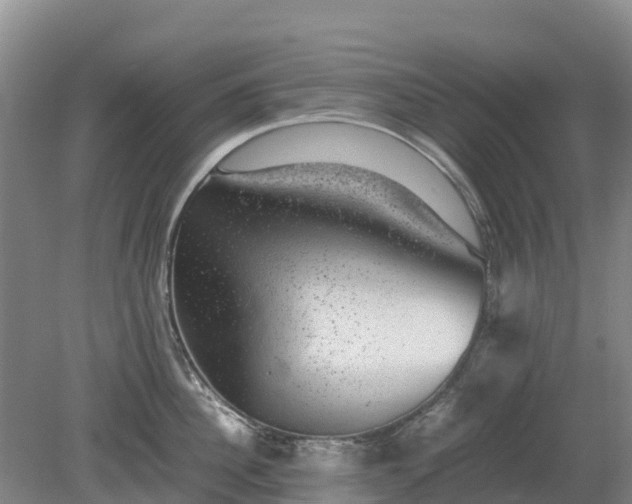 X0000080190956200612152011