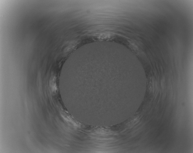 X0000080190962200612152010