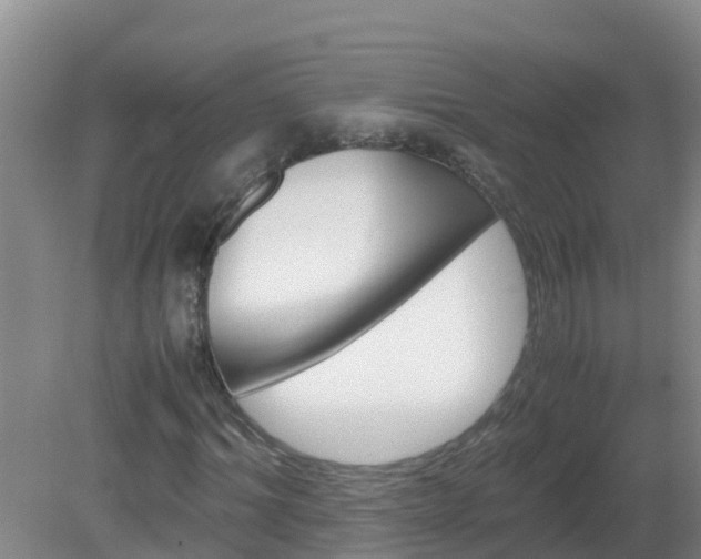 X0000080190964200612152010