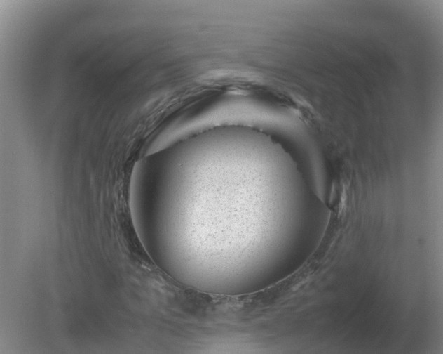 X0000080190965200612152010