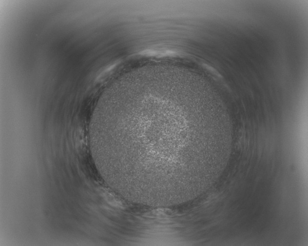 X0000080190966200612152010