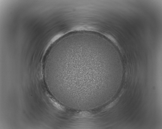 X0000080190974200612152010
