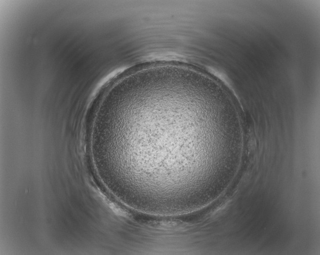 X0000080190979200612152010