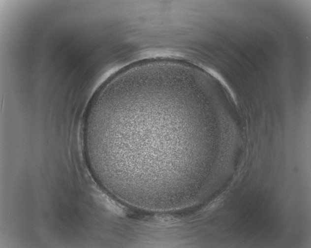 X0000080190983200612152010