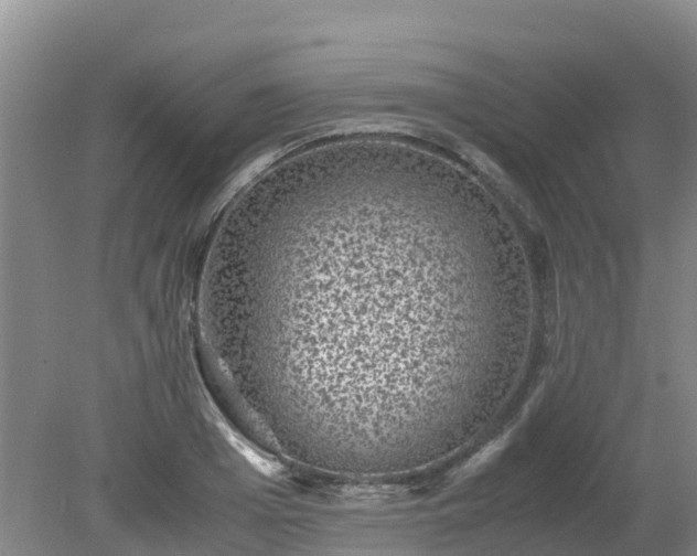 X0000080190985200612152010