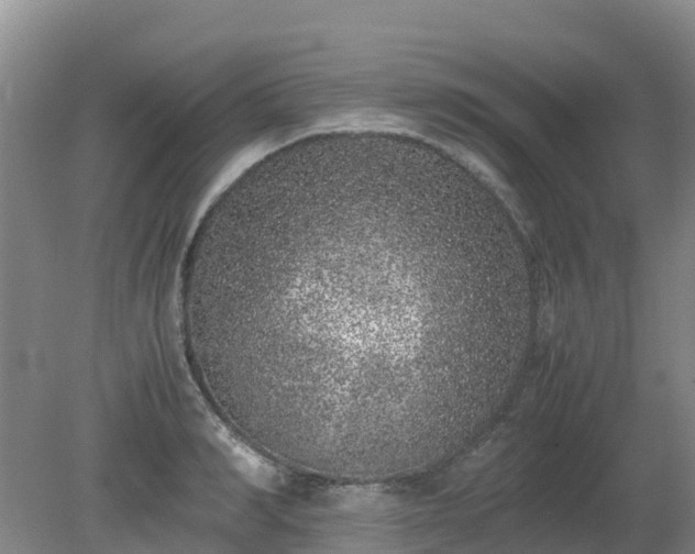 X0000080190990200612152009