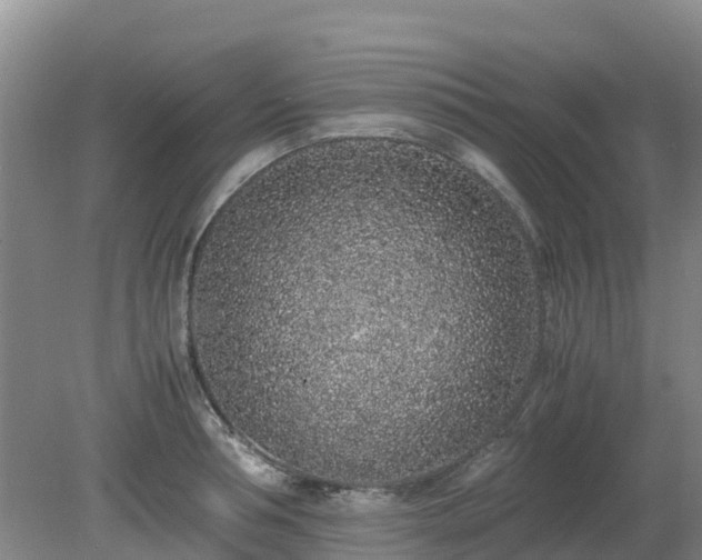 X0000080190994200612152009