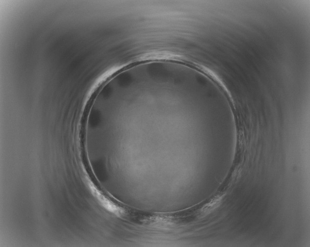 X0000080190995200612152009