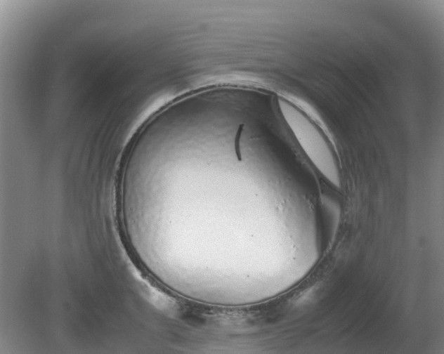 X0000080190999200612152009