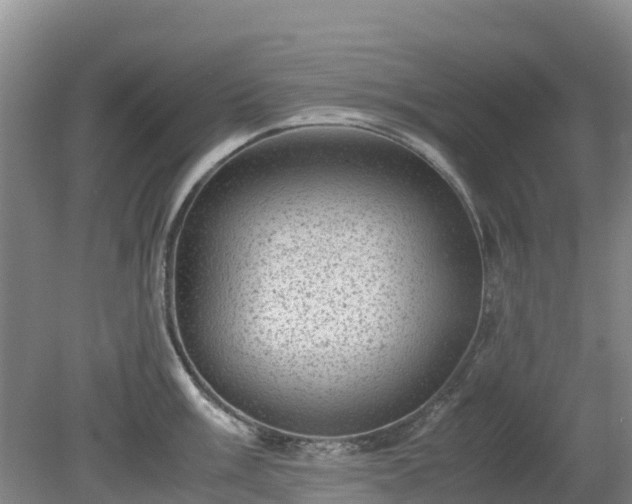 X0000080191003200612152009