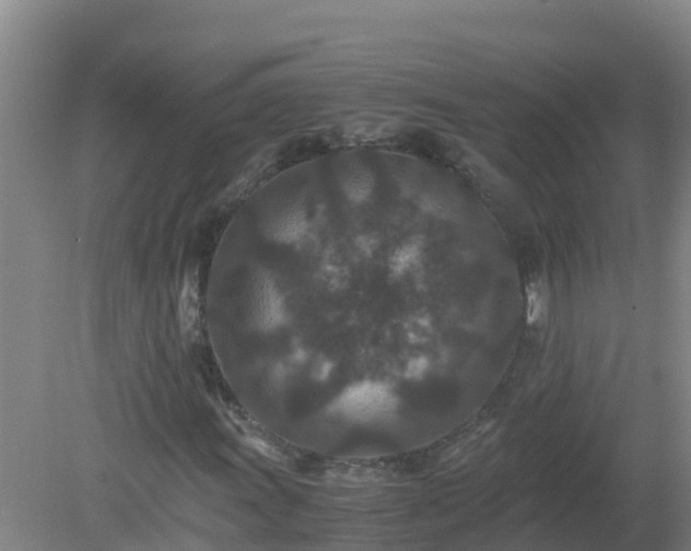 X0000080191011200612152008