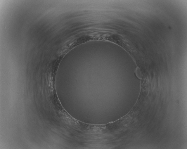 X0000080191013200612152008