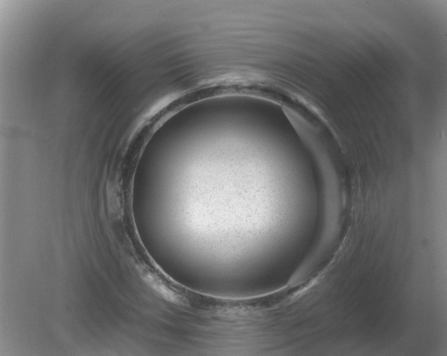 X0000080191018200612152008