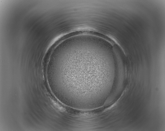 X0000080191022200612152009