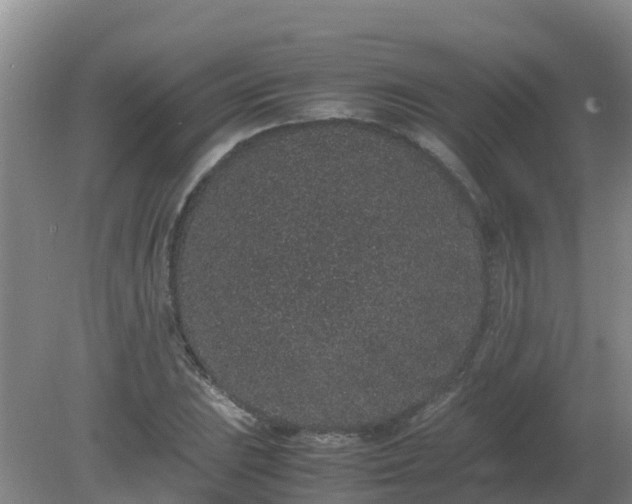 X0000080191023200612152009