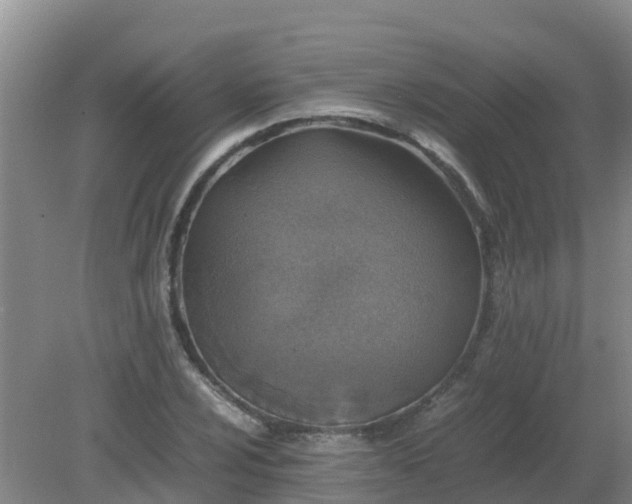 X0000080191024200612152009