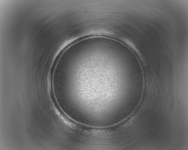 X0000080191032200612152009