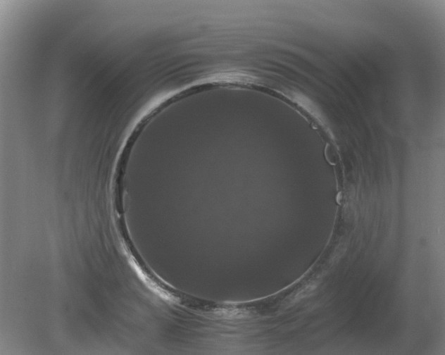 X0000080191037200612152009