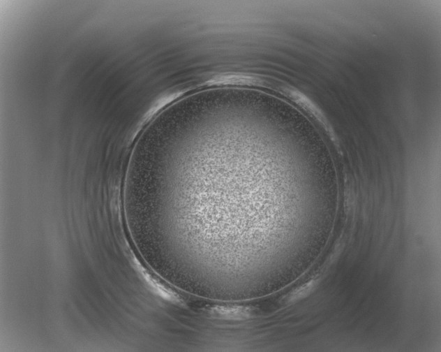 X0000080191041200612152009