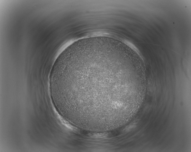 X0000080191047200612152009