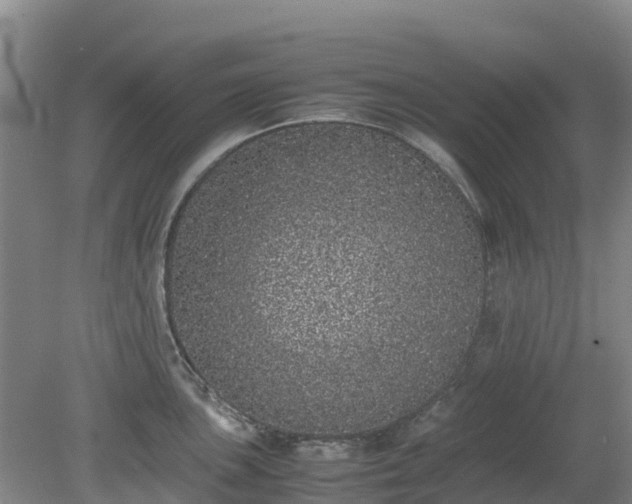 X0000080191051200612152009