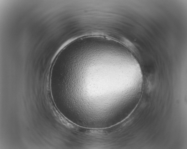X0000080191052200612152009