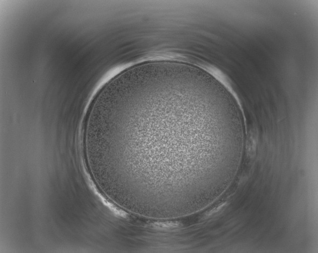 X0000080191053200612152009